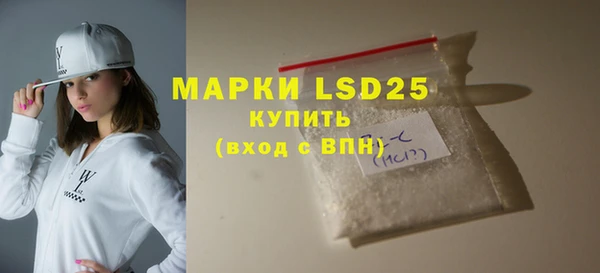 PSILOCYBIN Алзамай