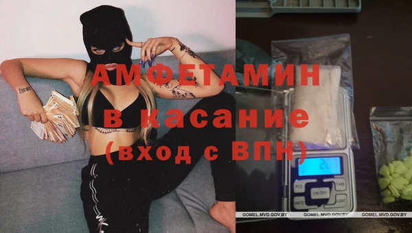 гидра Алексин