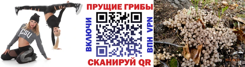 KRAKEN ссылка  маркетплейс телеграм  Псилоцибиновые грибы Psilocybine cubensis  Моршанск 