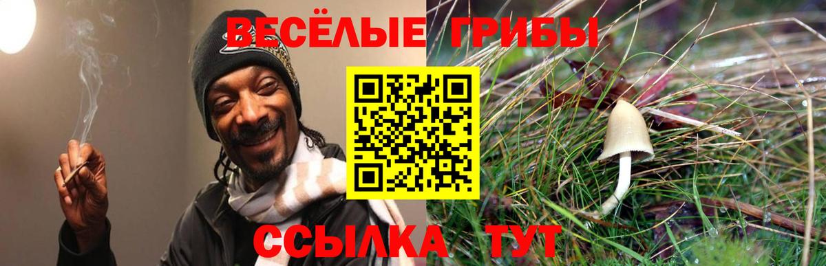 Галлюциногенные грибы Psilocybine cubensis  Вход с VPN  Моршанск 